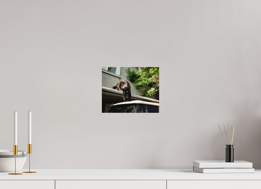 25 x 20 cm, Photo Print on Fuji Crystal DP II Glossy Istanbul Impressions: Curiosity