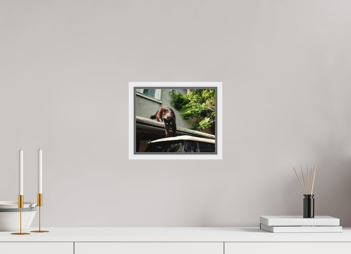 25 x 20 cm, Wooden Frame White 2cm with Shadow Gap on Fuji Crystal Archive Glossy Istanbul Impressions: Curiosity