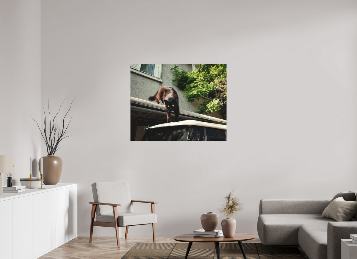 112,5 x 90 cm, Epson Fine Art Cotton Smooth Natural Istanbul Impressions: Curiosity