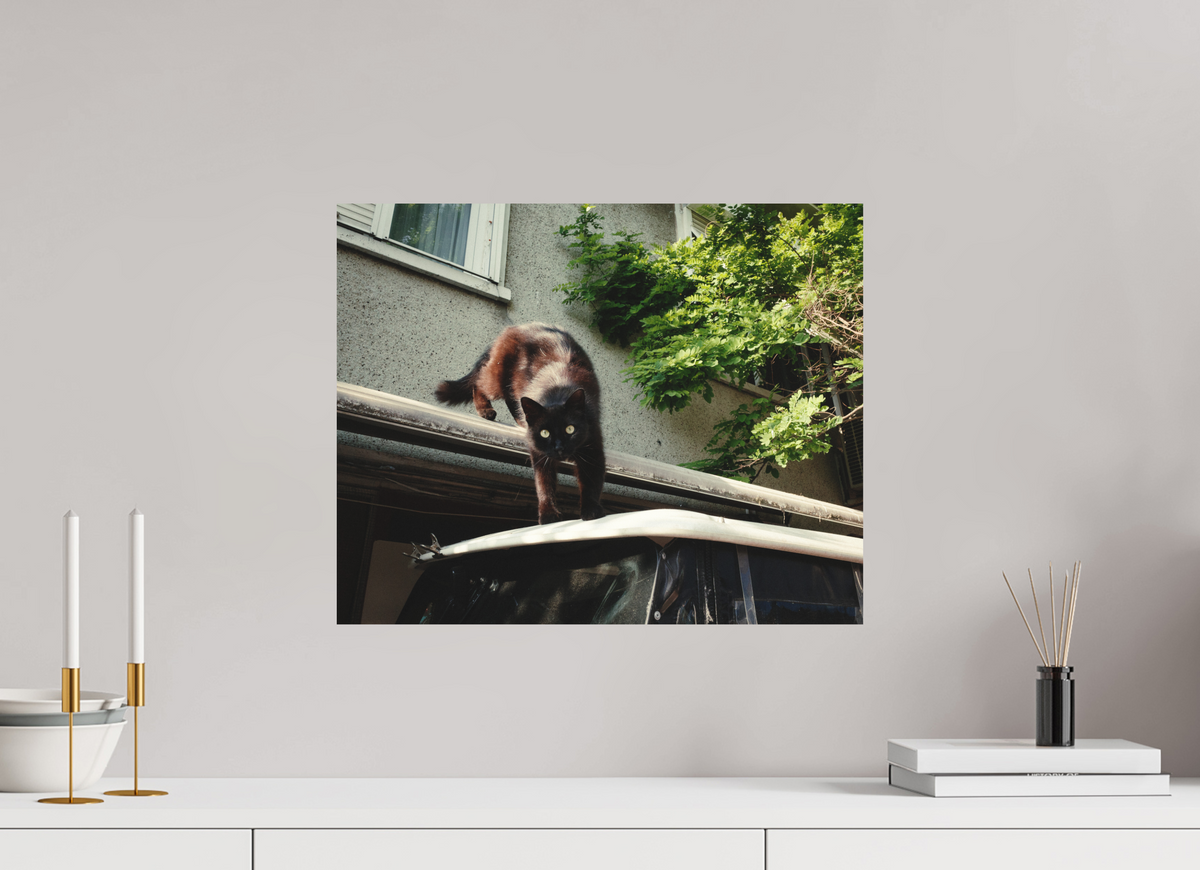 50 x 40 cm, Epson Fine Art Cotton Smooth Natural Istanbul Impressions: Curiosity