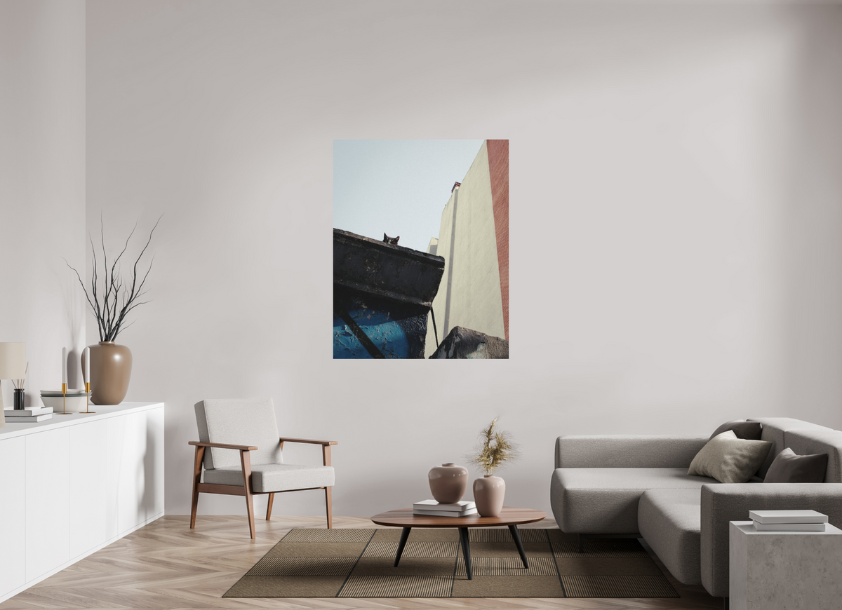 110 x 137,5 cm, Photo Print on Fuji Crystal DP II Matte Istanbul Impressions: Just Checking