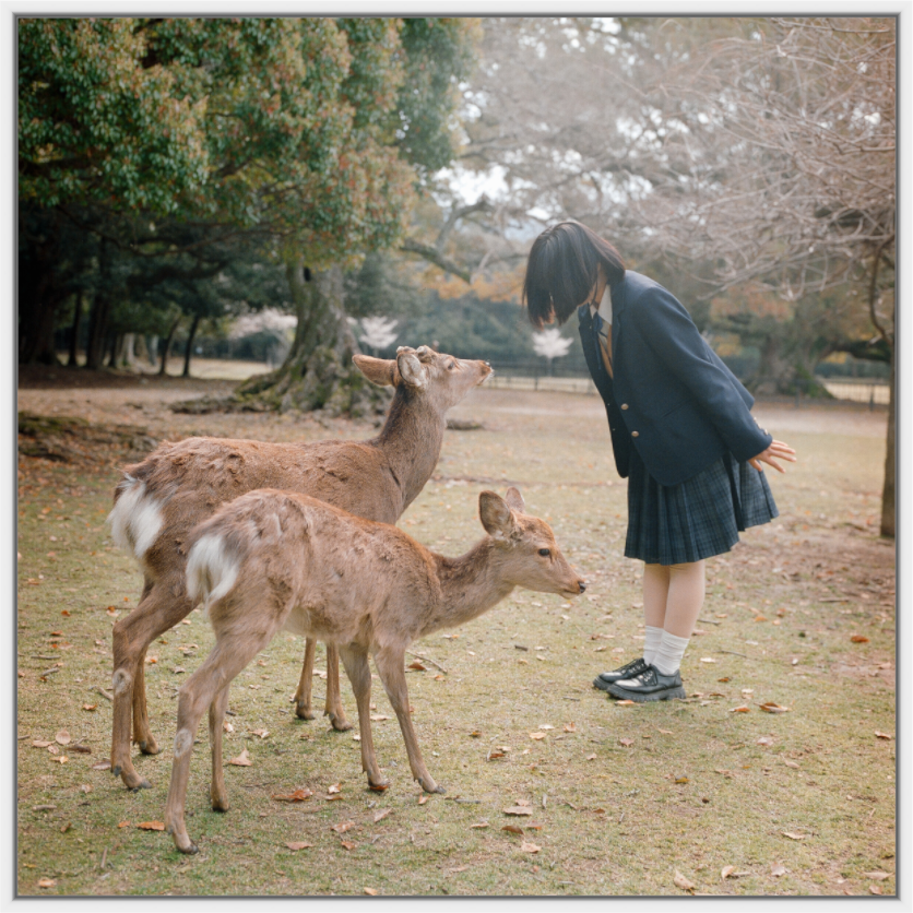 Postcards from Japan – Silent Exchange
