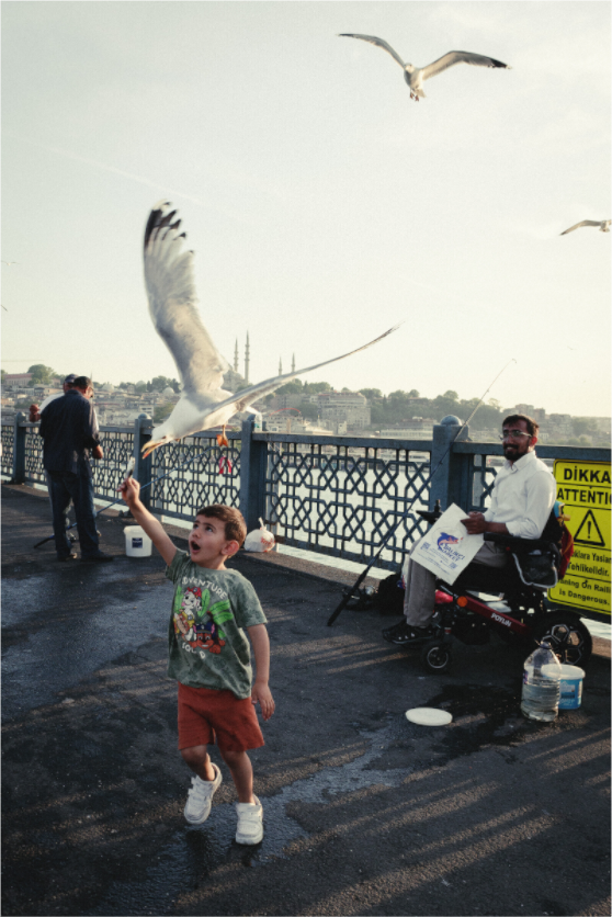 Main image Istanbul Impressions: Catch of the Day