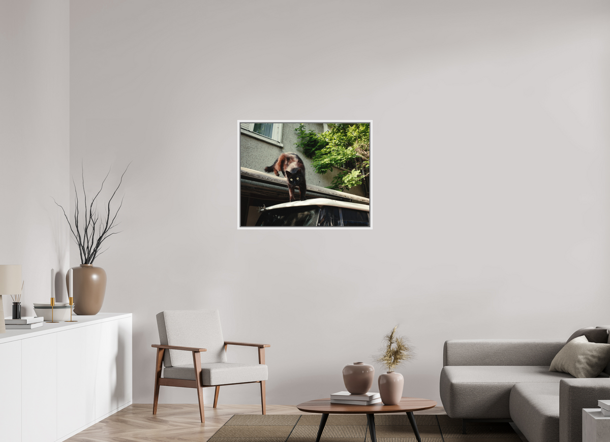 87,5 x 70 cm, Wooden Frame White 2cm with Shadow Gap on Fuji Crystal Archive Glossy Istanbul Impressions: Curiosity