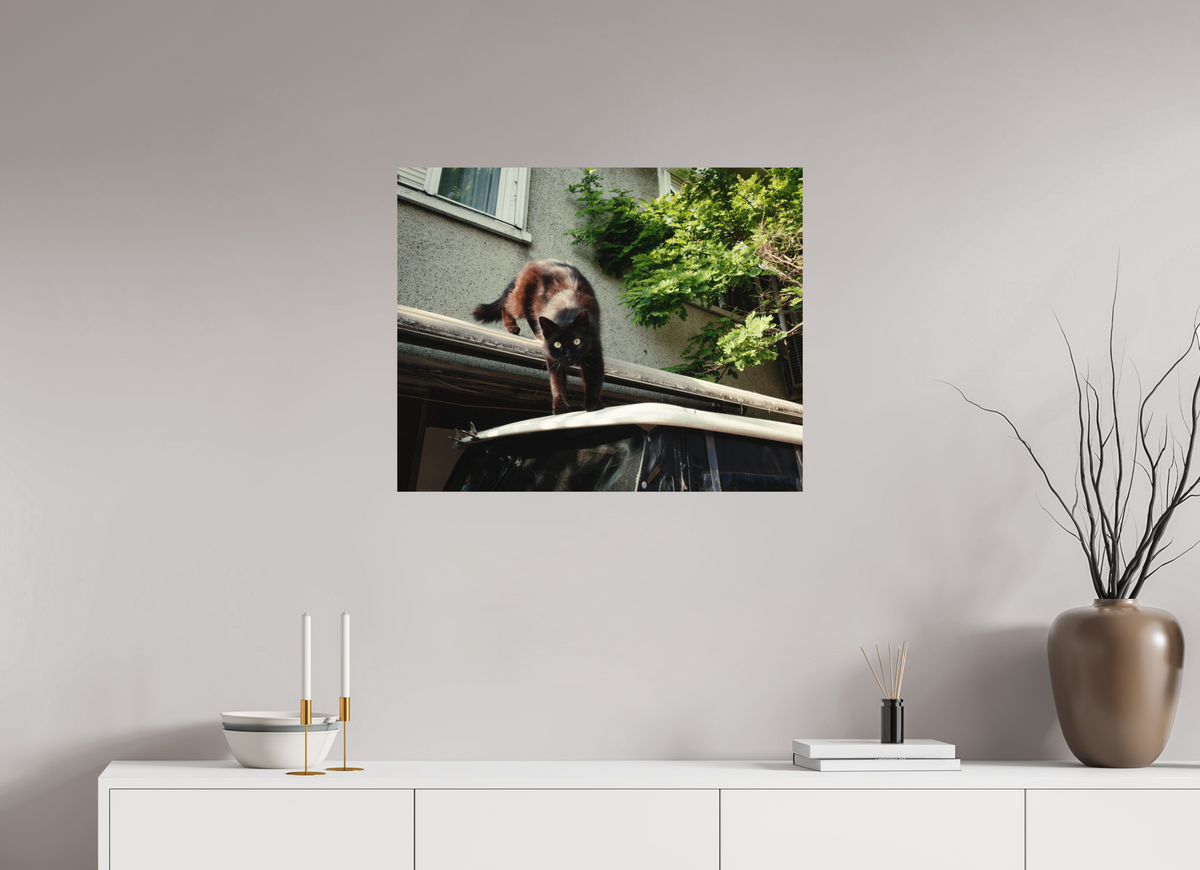 75 x 60 cm, Photo Print on Fuji Crystal DP II Glossy Istanbul Impressions: Curiosity