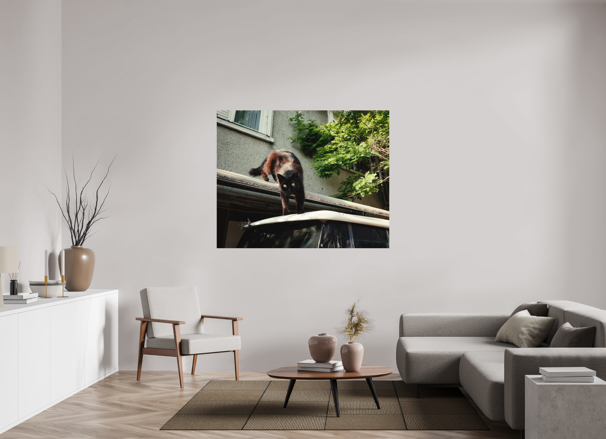 150 x 120 cm, Photo Print on Fuji Crystal DP II Glossy Istanbul Impressions: Curiosity