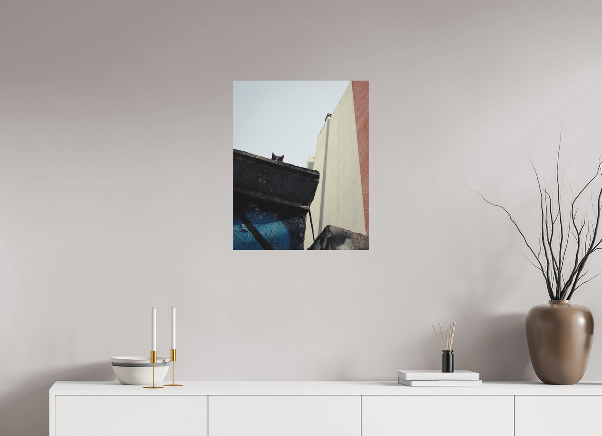 50 x 62,5 cm, Photo Print on Fuji Crystal DP II Matte Istanbul Impressions: Just Checking