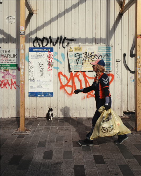 Main image Istanbul Impressions: Neighborhood Watch