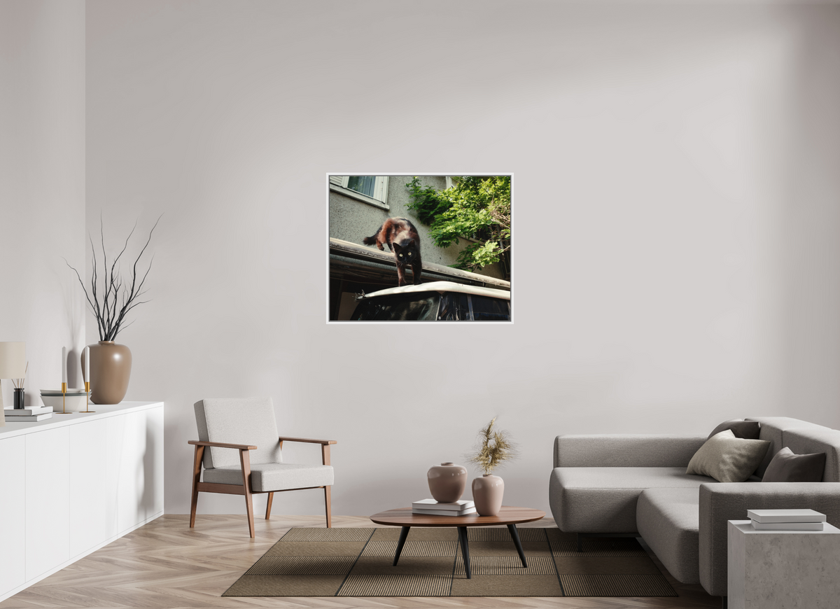 112,5 x 90 cm, Wooden Frame White 2cm with Shadow Gap on Fuji Crystal Archive Glossy Istanbul Impressions: Curiosity