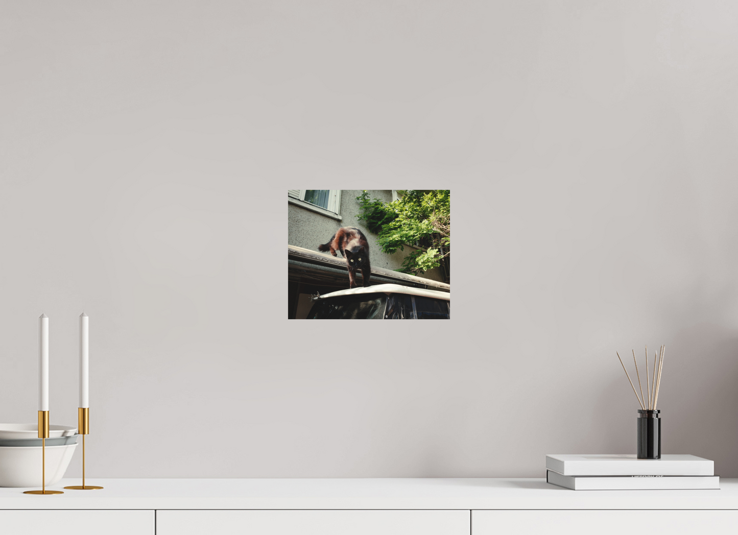 25 x 20 cm, Photo Print on Fuji Crystal DP II Matte Istanbul Impressions: Curiosity