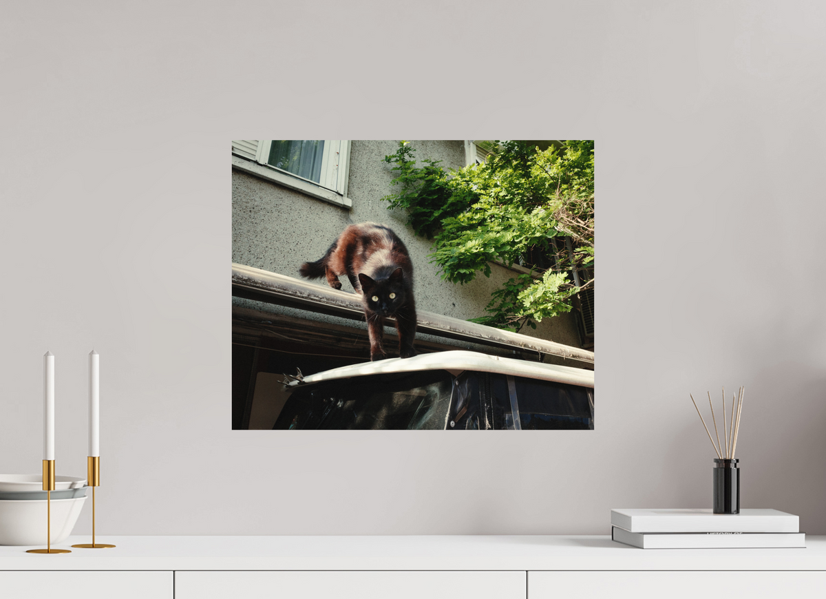 50 x 40 cm, Photo Print on Fuji Crystal DP II Glossy Istanbul Impressions: Curiosity