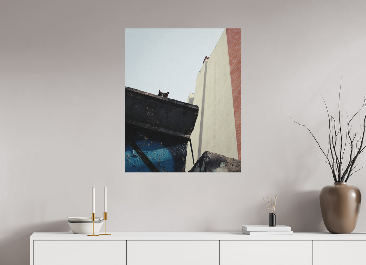70 x 87,5 cm, Photo Print on Fuji Crystal DP II Matte Istanbul Impressions: Just Checking