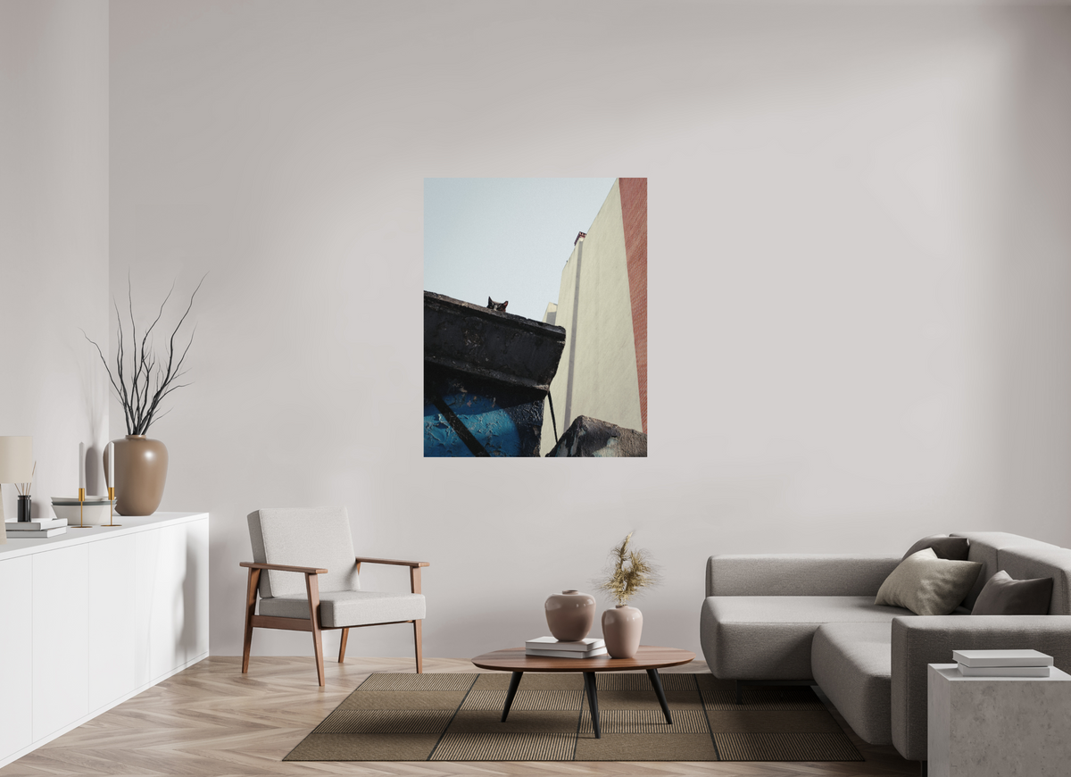 110 x 137,5 cm, Photo Print on Fuji Crystal DP II Glossy Istanbul Impressions: Just Checking