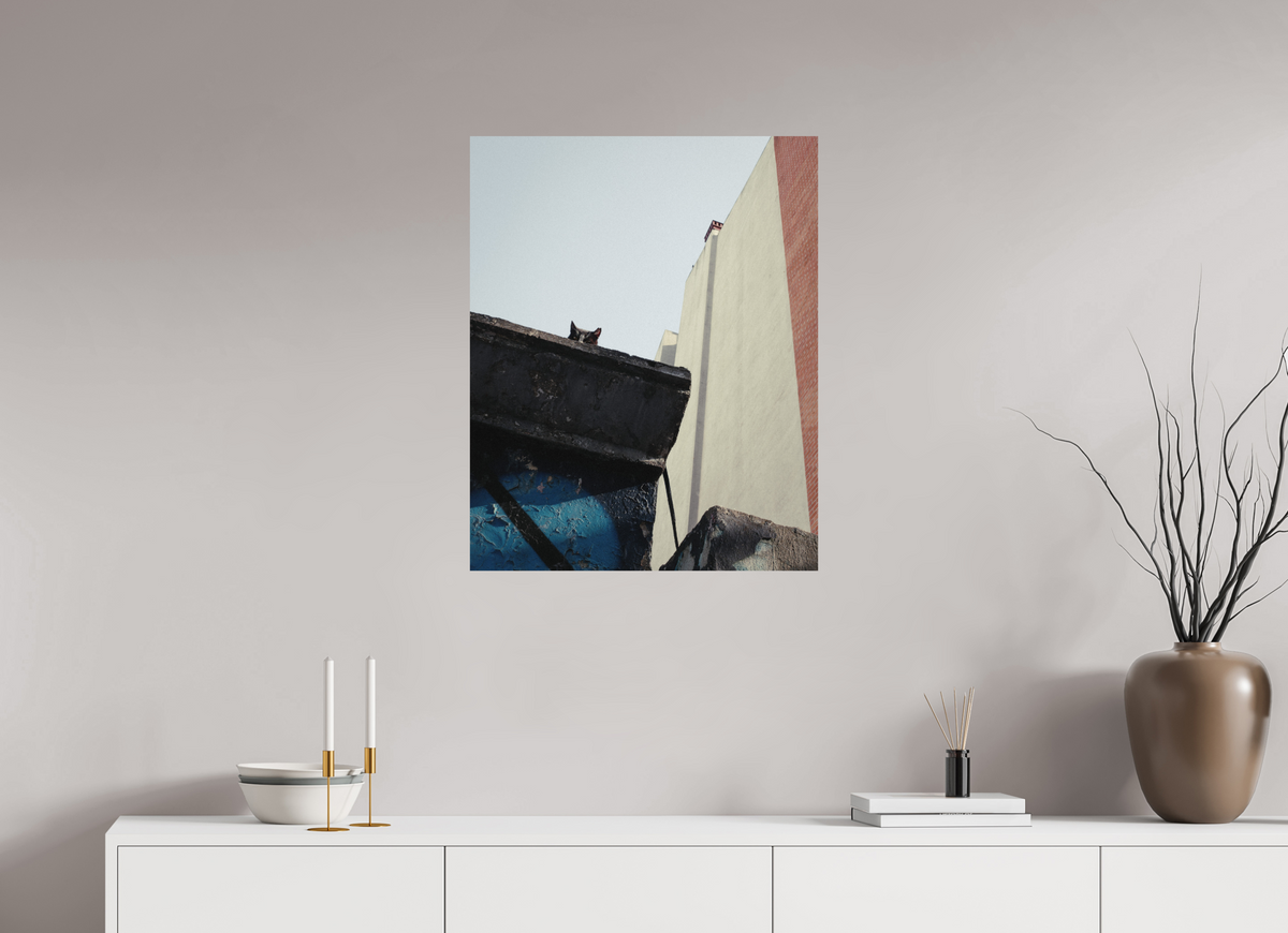 60 x 75 cm, Photo Print on Fuji Crystal DP II Glossy Istanbul Impressions: Just Checking