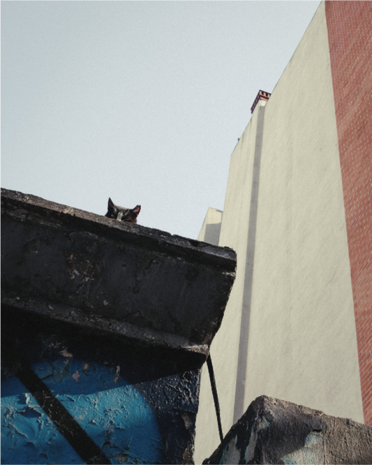 Main image Istanbul Impressions: Just Checking