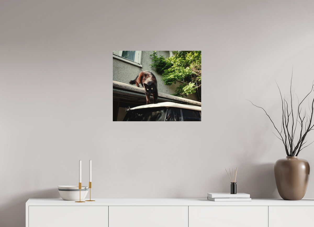 62,5 x 50 cm, Photo Print on Fuji Crystal DP II Glossy Istanbul Impressions: Curiosity