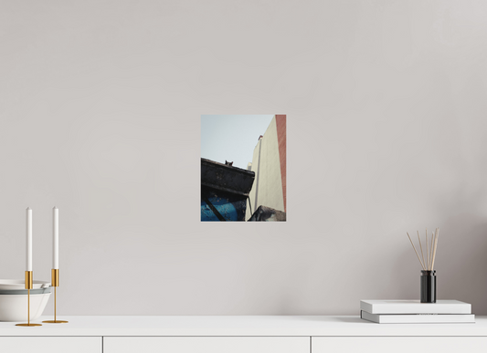 20 x 25 cm, Photo Print on Fuji Crystal DP II Glossy Istanbul Impressions: Just Checking