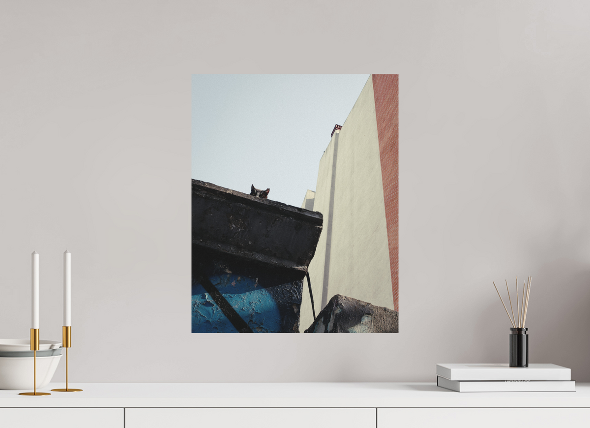 40 x 50 cm, Photo Print on Fuji Crystal DP II Matte Istanbul Impressions: Just Checking