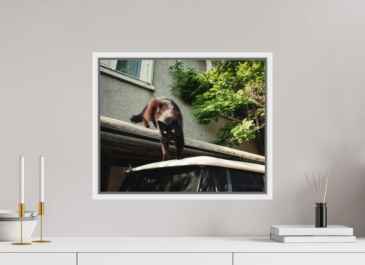 50 x 40 cm, Wooden Frame White 2cm with Shadow Gap on Fuji Crystal Archive Glossy Istanbul Impressions: Curiosity