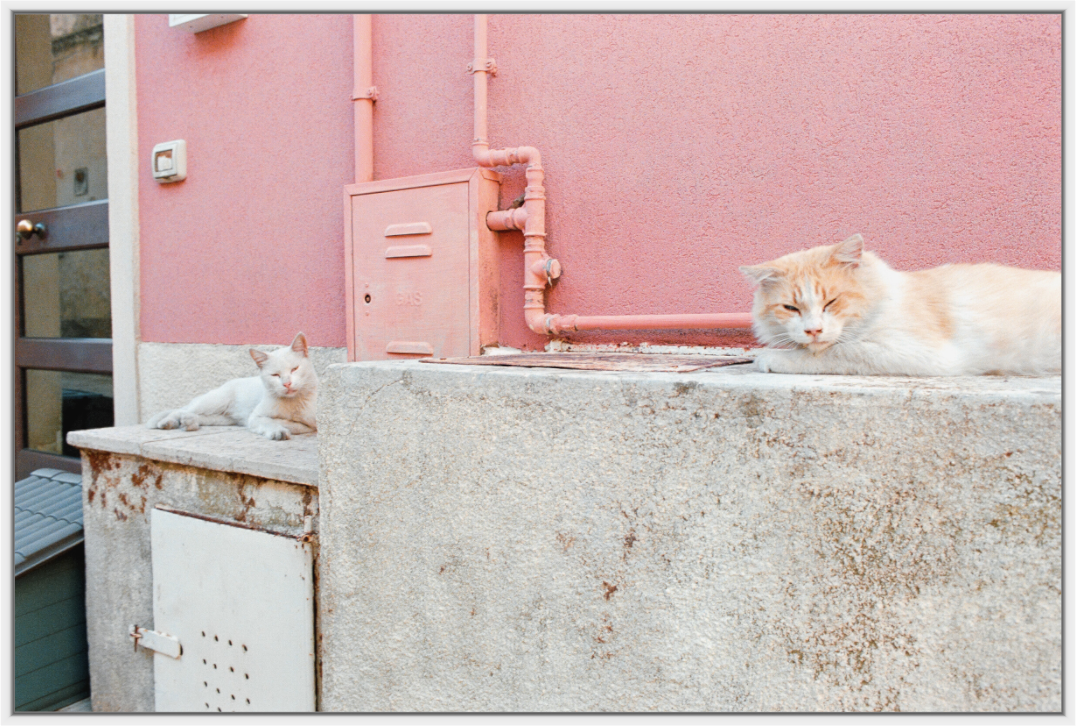 Sicilian Siesta